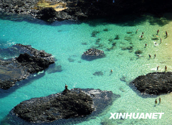 的费尔南多—迪诺罗尼亚岛mg不朽情缘游戏